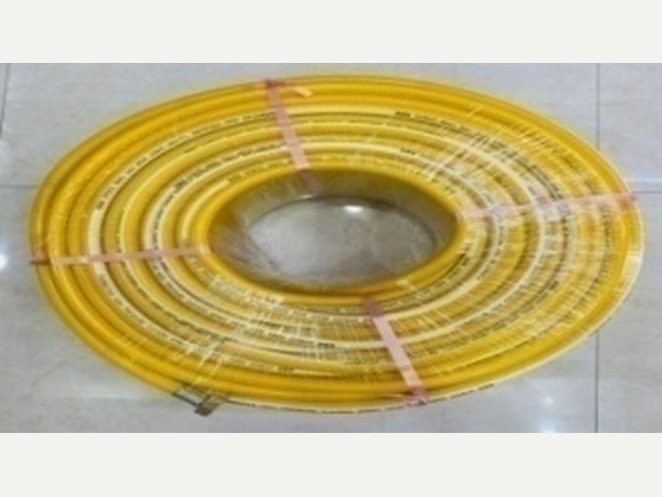 Delivery Hose 10mm