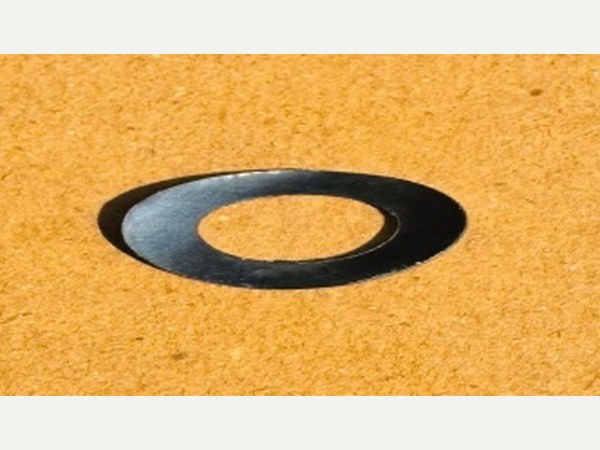 Wave Washer 4 Stroke Clutch Bolt